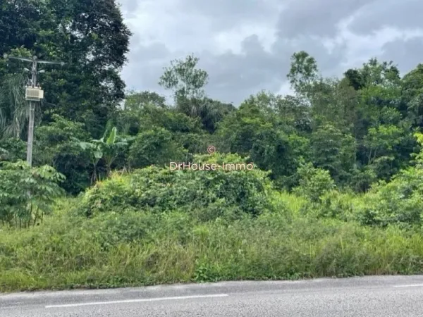Terrain 58920 m²