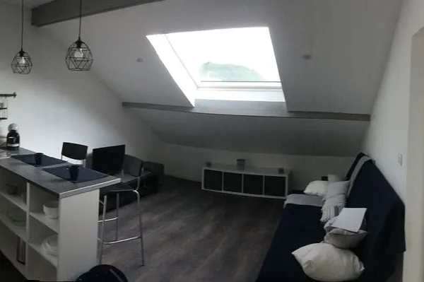 T2 mansardé 46m2 au sol/29m2 hab, rénové, très lumineux- Gières