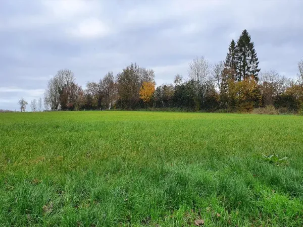 Terrain 4577 m²