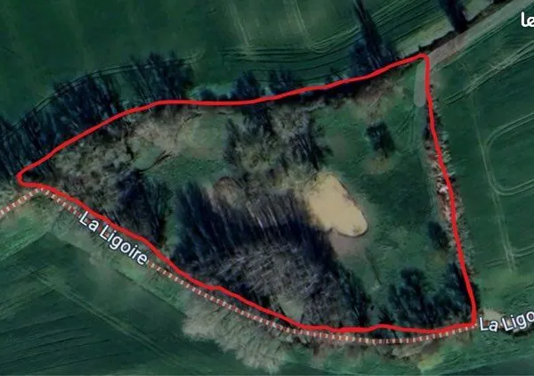 TERRAIN DE LOISIRS 11 000 m² - LA CHAPELLE-BLANCHE-SAINT-MART