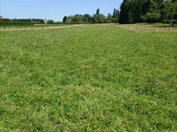 Terrain 3826 m²