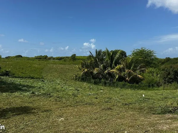 Terrain a batir a gissac sainte anne