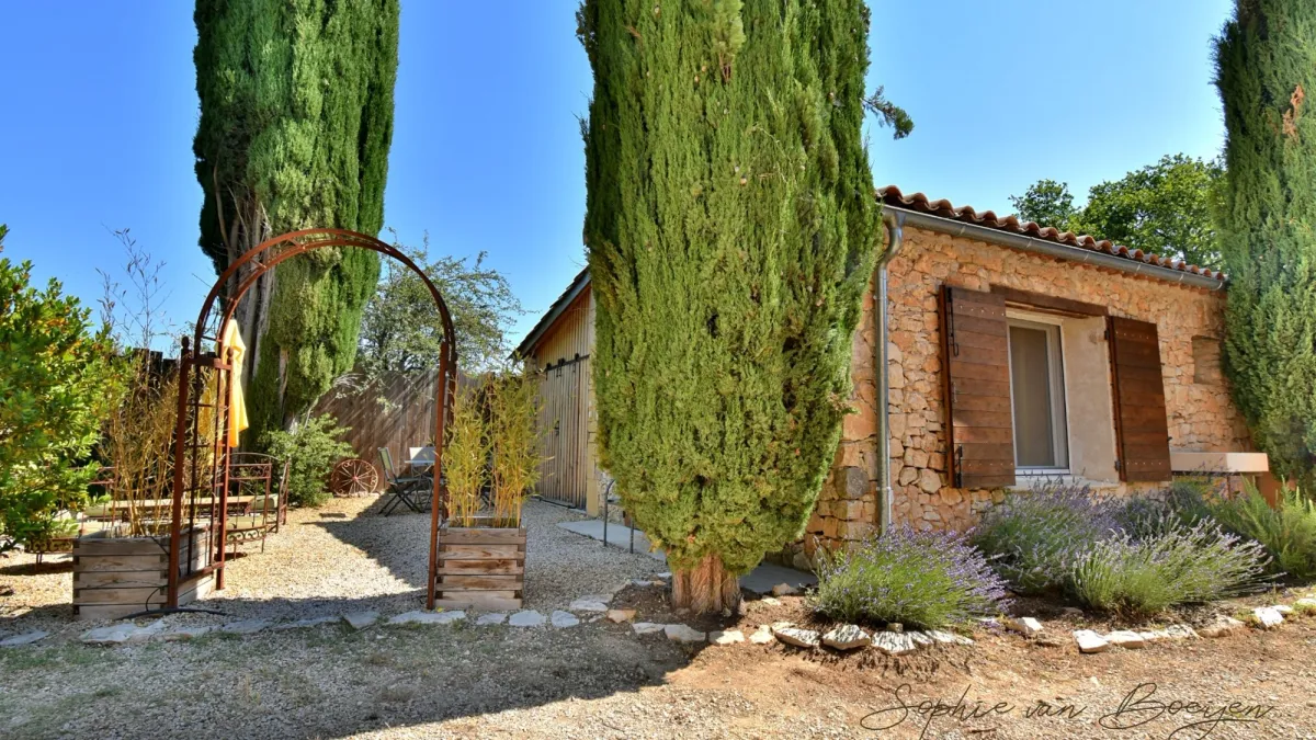 Photo 8