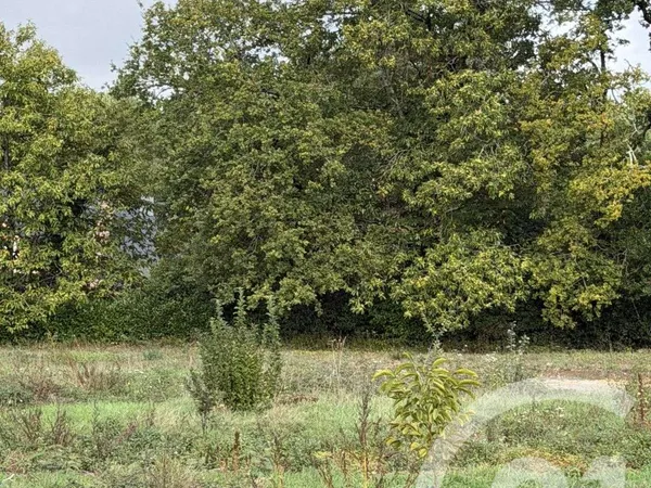 Terrain 455 m²