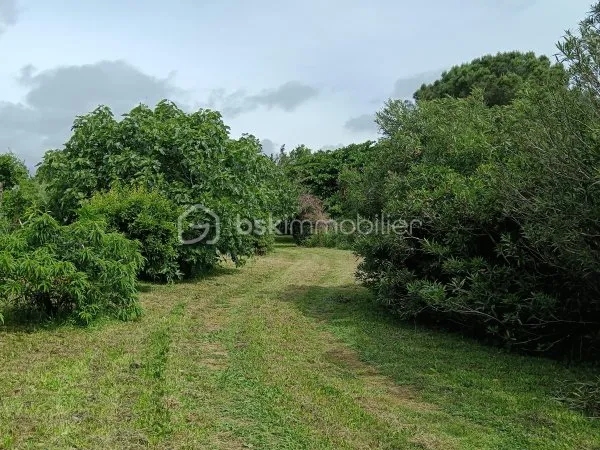 Terrain 2207 m²