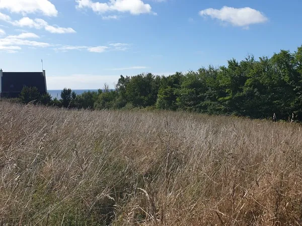 Terrain exceptionnel de 2 500 m² avec vue mer et vue sur la plage du Lo'c 29770