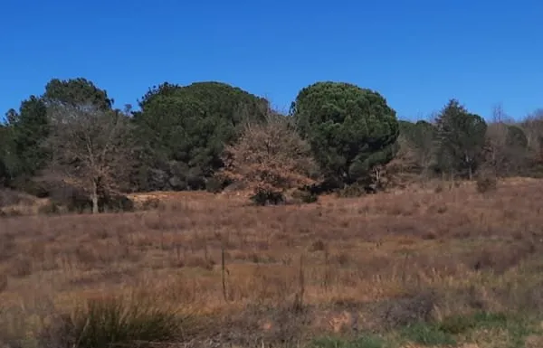 TERRAIN DE NATURE AGRICOLE 66 VALLESPIR AINT JEAN PLA DE CORTS