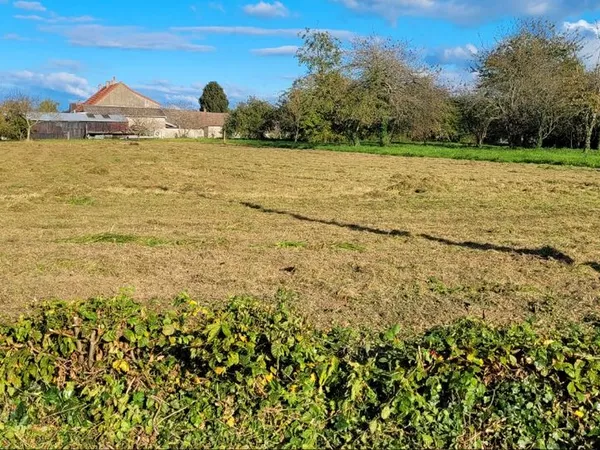 Terrain constructible