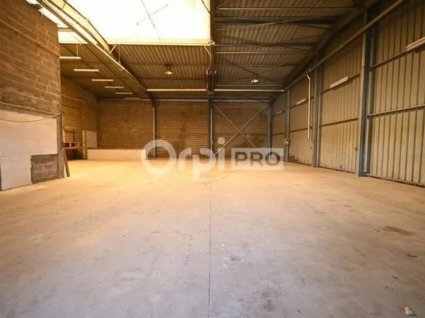 Local d'activité 1100 m²