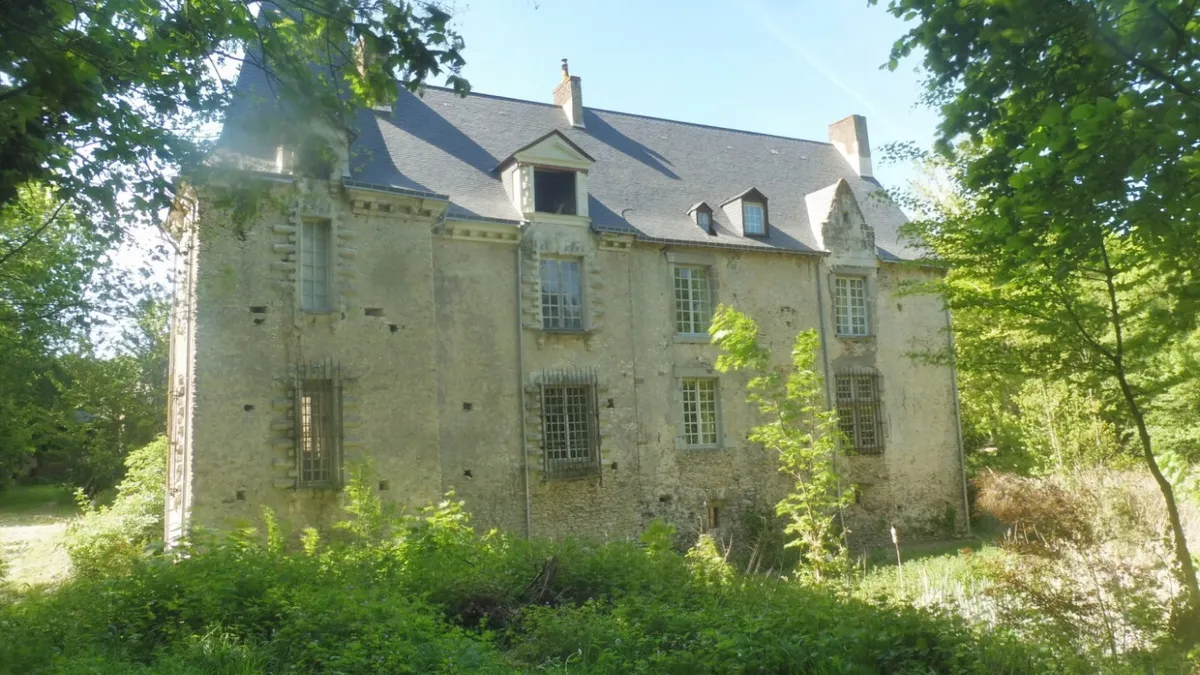 Photo 5
