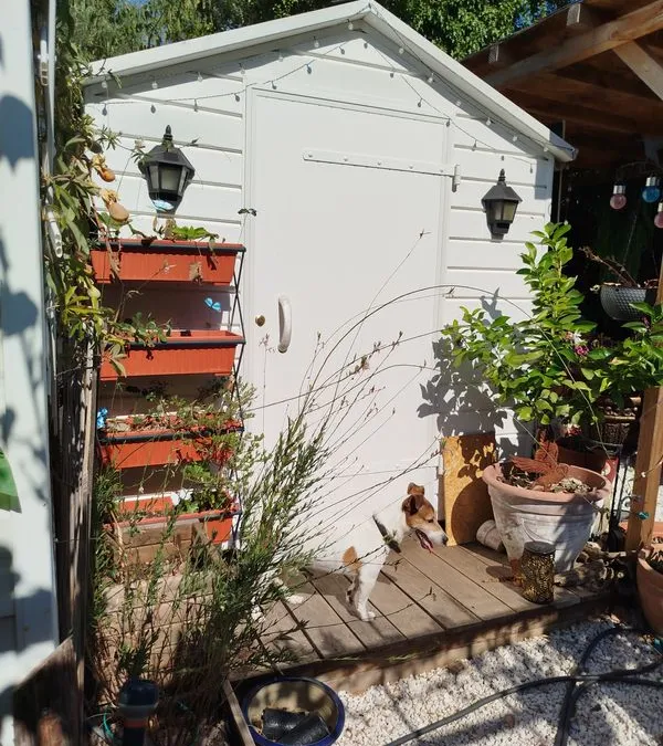 Photo 2