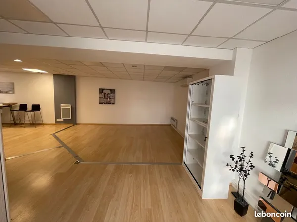 Locaux d'activités professionnelles 100 M2