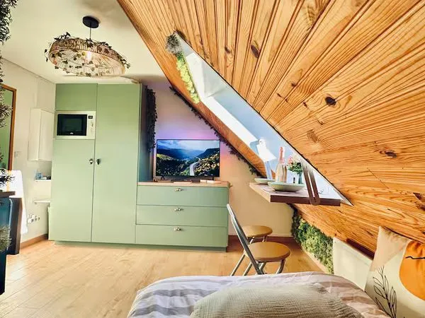 Studio atypique rénové - Le Seignus / Allos - 43 000
