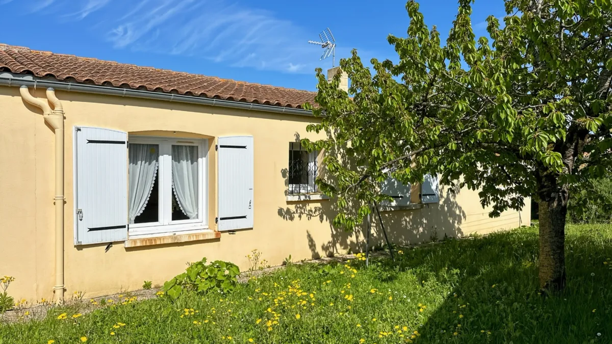 Photo 16