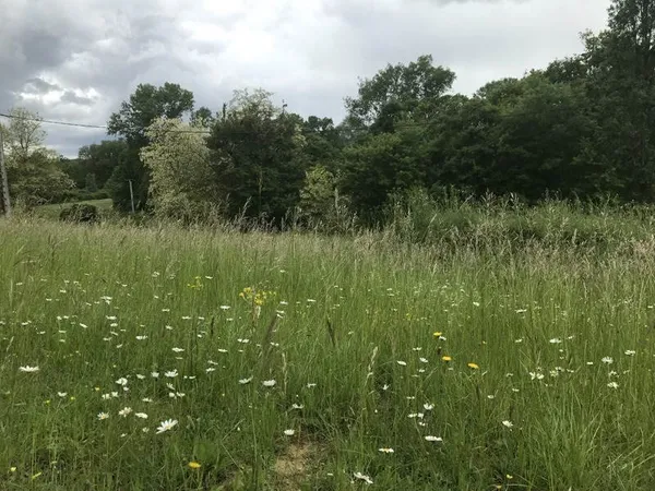 Terrain 3499 m²