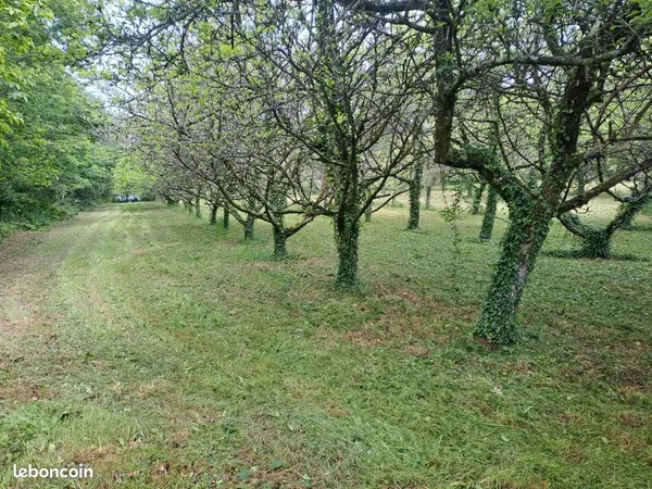 Verger a cidre BIO 7000m2 environnement préservé