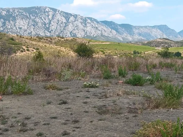 Terrain agricole