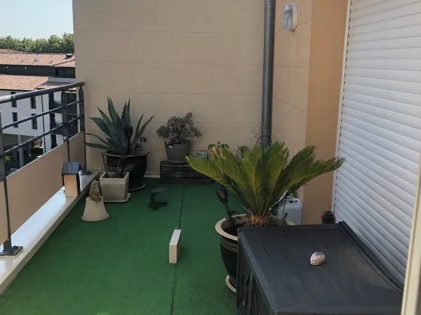 Location appartement T3