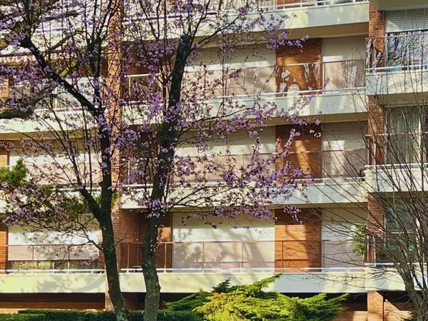 Appartement 3 pièces 80 m²