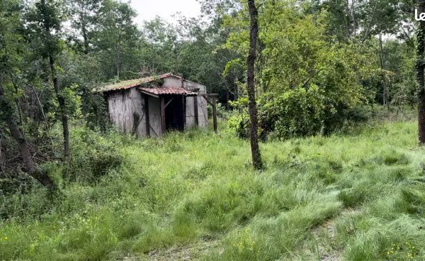 Terrain Agricole Arboré 25090 m2