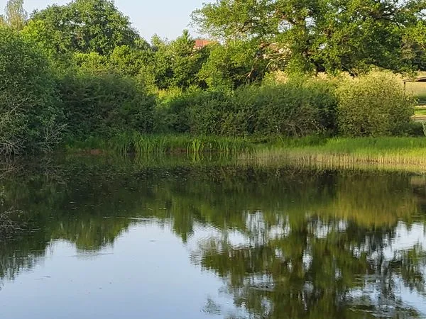 Plan d'eau Vente Rouy   43000€