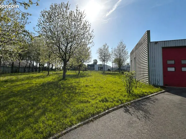 Local 1080 m² Questembert