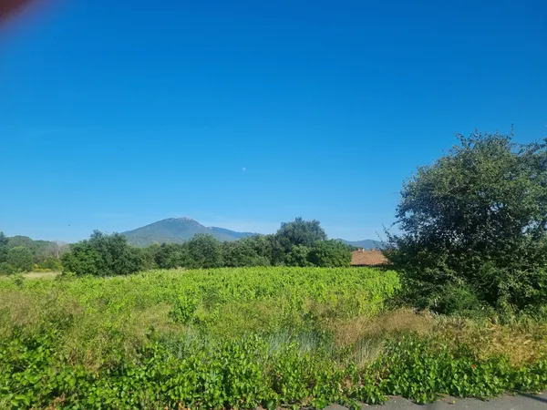 Terrain en individuel 239 m²