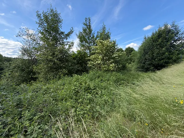 Terrain 3673 m²