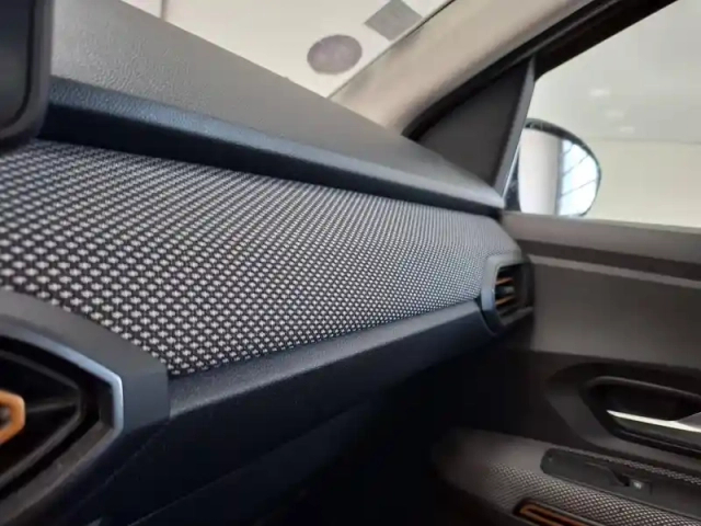 Dacia Sandero eco-g 100 — photo 31