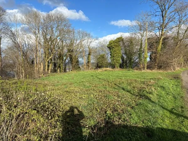 Terrain 1000 m²