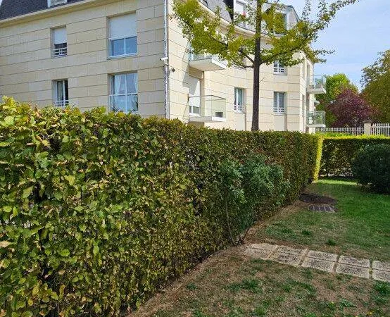 Appartement 4 pièces 100 m²