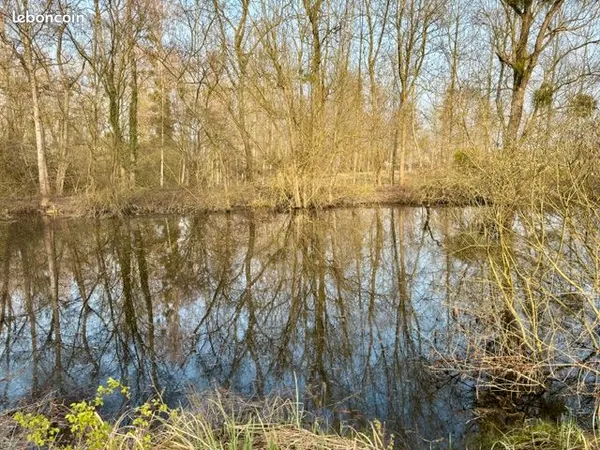 Opportunité rare Terrain de loisir EAU+ELECTRICITE de 9000 m² avec un étang (ou lac) de 1300 m²