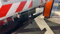 Renault Master RJ3500 L2 2.3 Blue dCi PAF AR court 130ch Confort EuroVI — photo 21