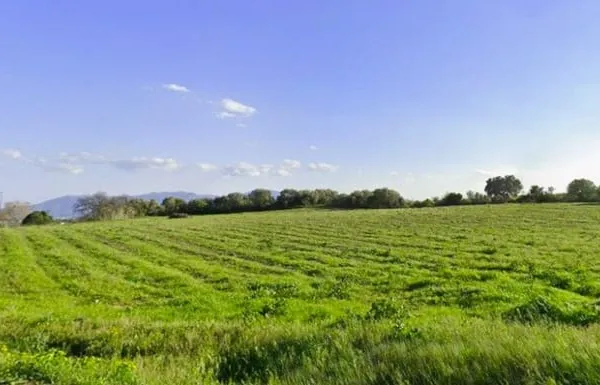 Terrain 740 m²