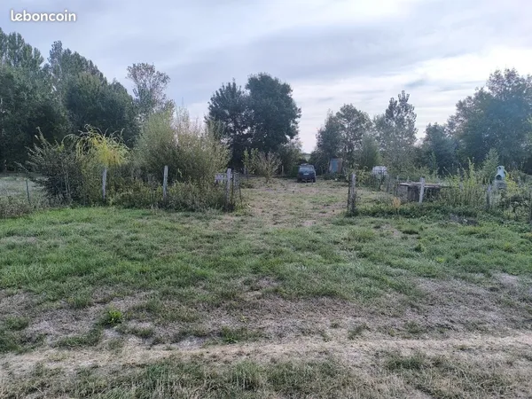 Bord de loir