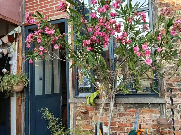 Co Location - Atelier partagé