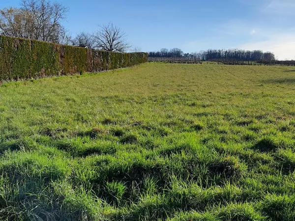 “A vendre Terrain à bâtir de 1950 m² Rare avec vue sur vignes - Sans vis-à-vis - Proche de Chinon”