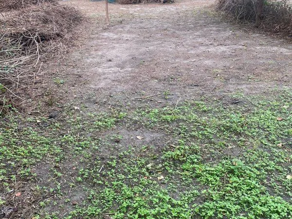 Location terrain