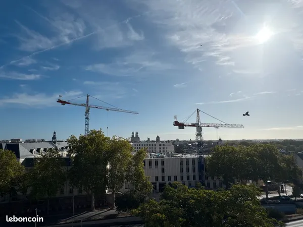 Appartement en co location orleans centre
