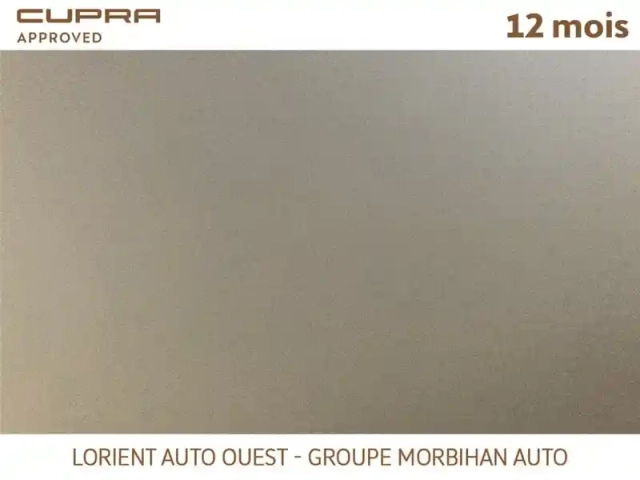 Cupra Formentor 1.4 e-hybrid 245 ch dsg6 — photo 19