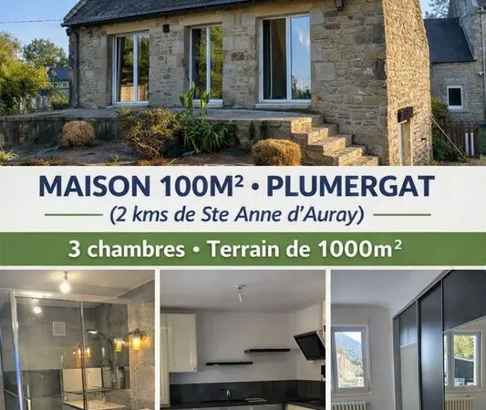 Location maison Plumergat