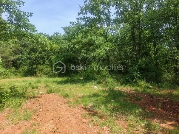 Terrain 10130 m²
