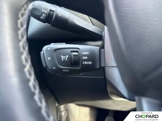 Ds Ds 3 crossback bluehdi 110 s&amp;s bvm6 — photo 14
