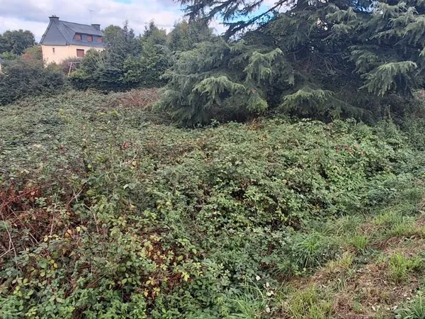 Terrain constructible