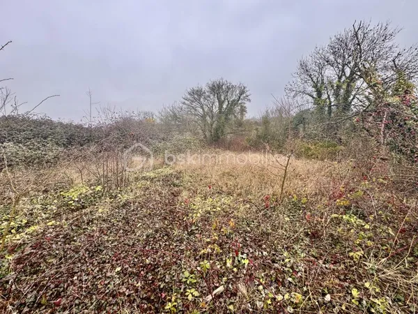 Terrain 572 m²