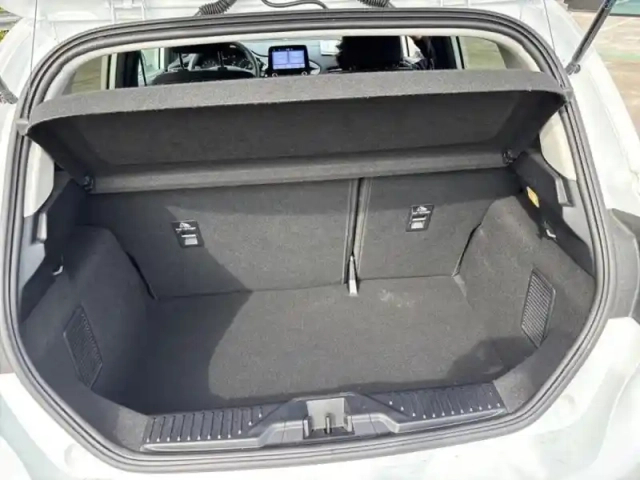 Ford Fiesta 1.0 flexifuel 95ch titanium business 5p — photo 10