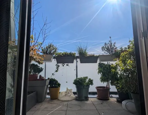 Appartement 3 pièces 54 m²