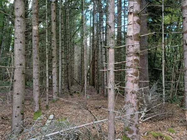 Terrains non constructif