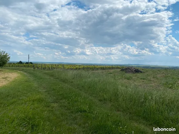Très beau terrain au calme + garage 25 m² au coeur d'un village entre Cognac et Saintes