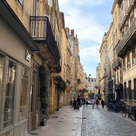 Bordeaux historique - élégant appartement de caractère vendu meublé - place camille jullian